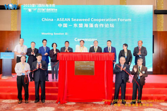 Seaweed Cooperation Has Become a New Highlight of Fishery Cooperation between China and The Philippines