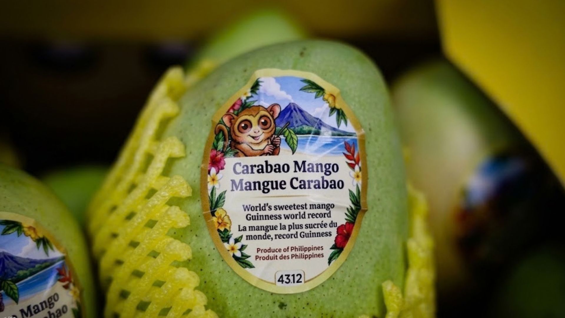 Philippines sends 1-ton Carabao mango shipment to Vancouver, expands Canada market